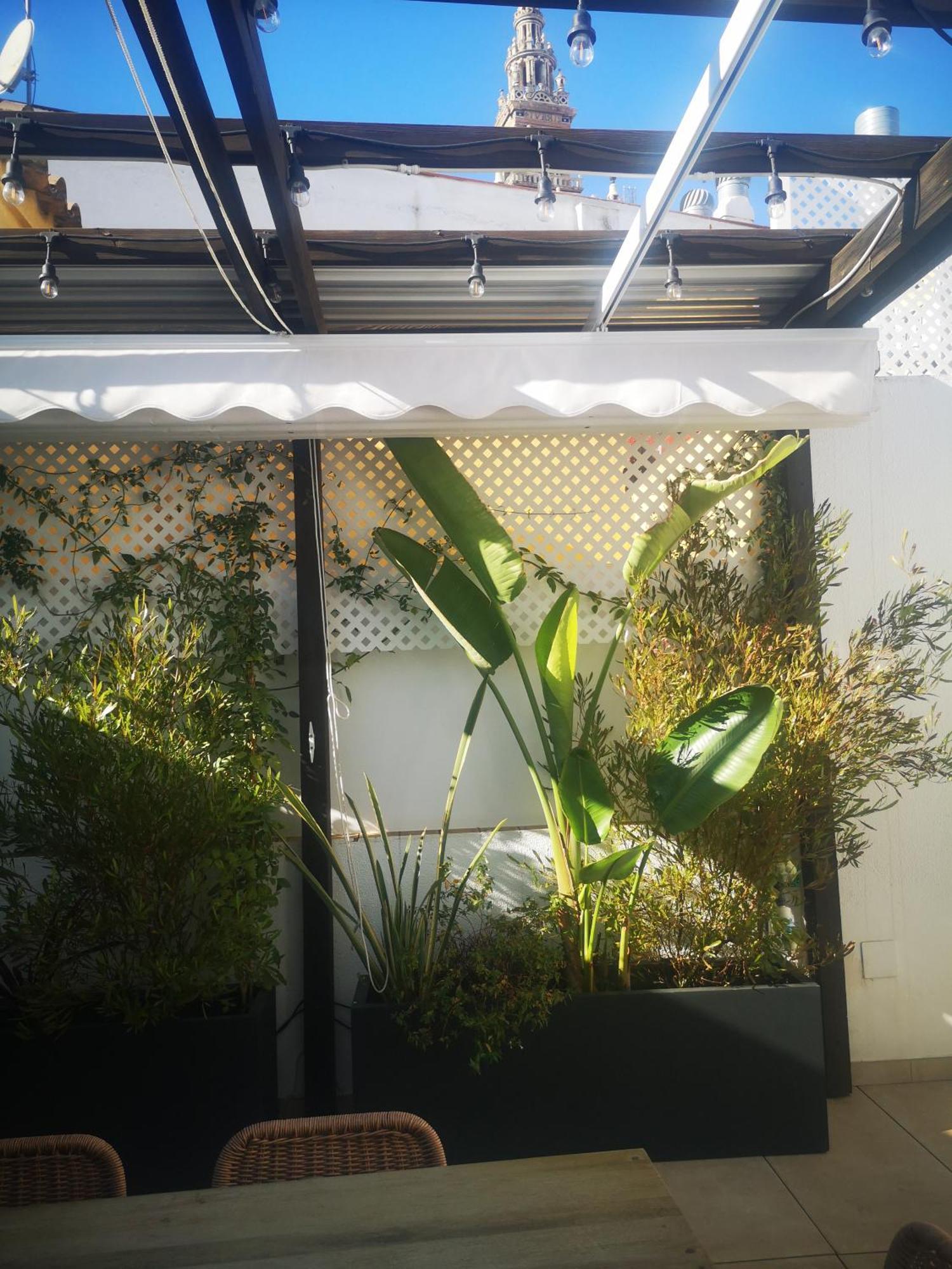 セビリアDuplex Luxury Giralda With Terraceアパートメント エクステリア 写真